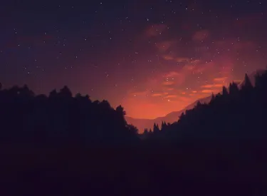 NFT