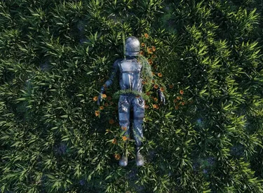 NFT